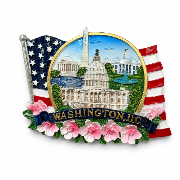Flag DC Panorama Ceramic Magnet