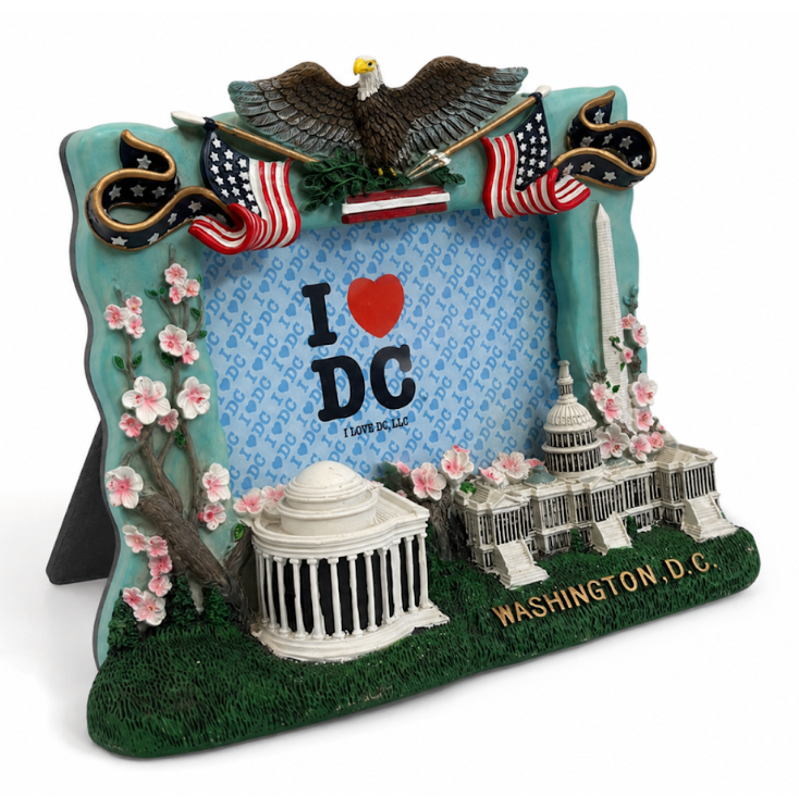 Washington DC Eagle & Landmarks Picture Frame