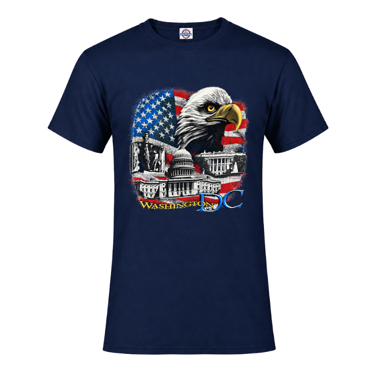 Eagle & Washington DC Landmarks T-Shirt