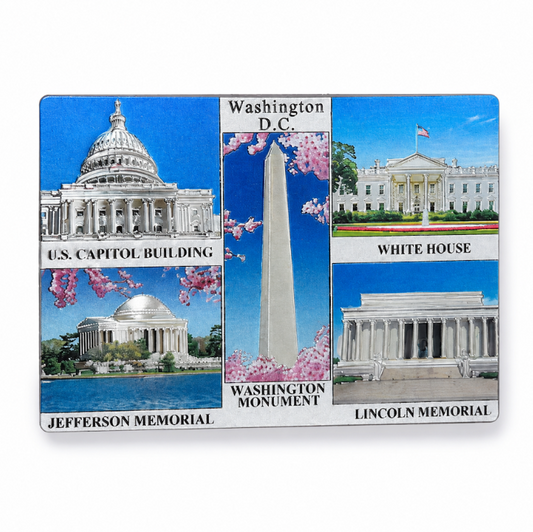 Washington DC Landmarks Shiny Fridge Magnet