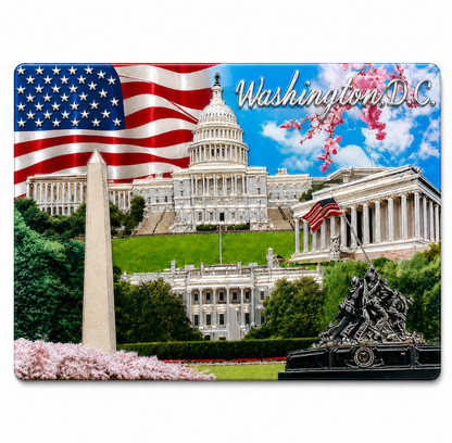 Washington DC Patriotic Monuments Shiny Fridge Magnet