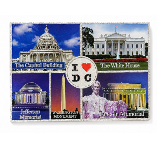 I Love DC Panorama Shiny Magnet