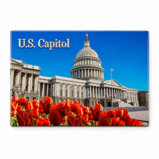 The Capitol Shiny Fridge Magnet