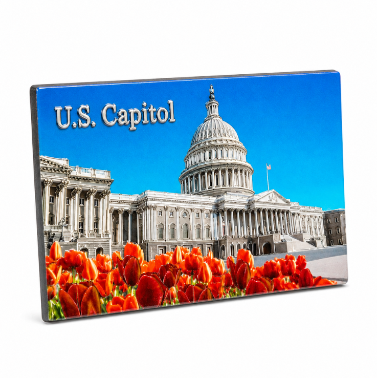 The Capitol Shiny Fridge Magnet