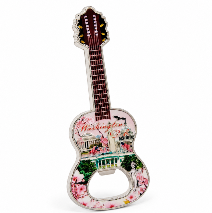 Cherry Blossom DC Panorama Guitar Shiny Magnet