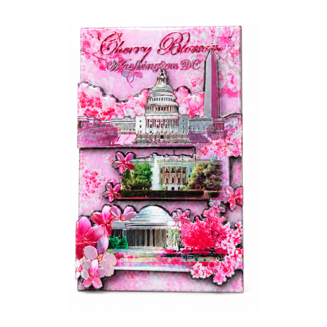 Cherry Blossom DC Panorama Wood Magnet