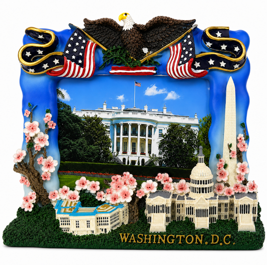Washington DC Pentagon & Capitol Picture Frame