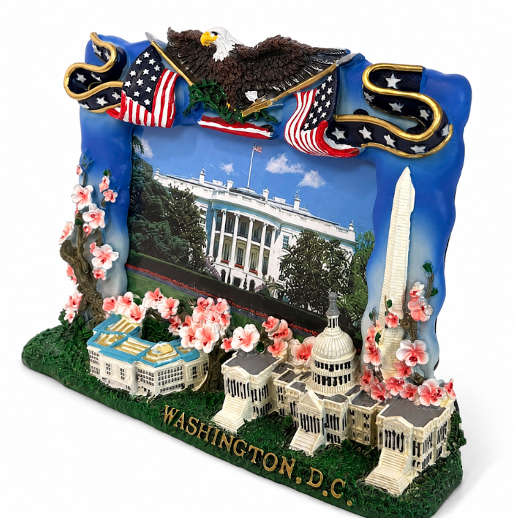 Washington DC Pentagon & Capitol Picture Frame