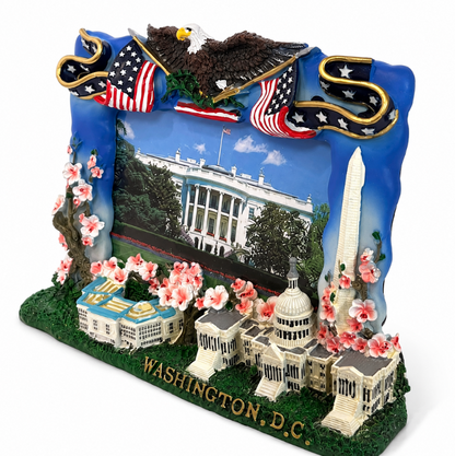 Washington DC Pentagon & Capitol Picture Frame