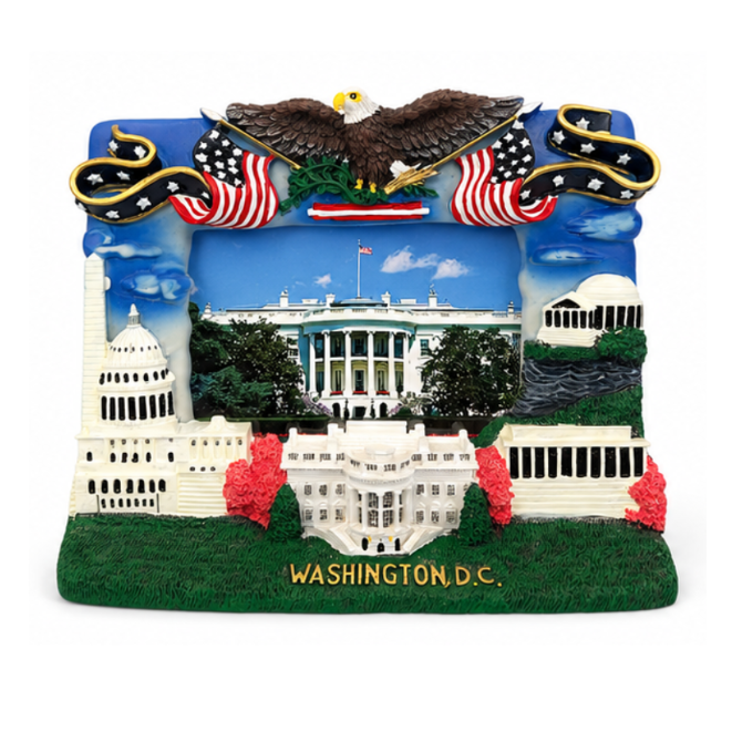 Washington DC Eagle Landmark Picture Frame