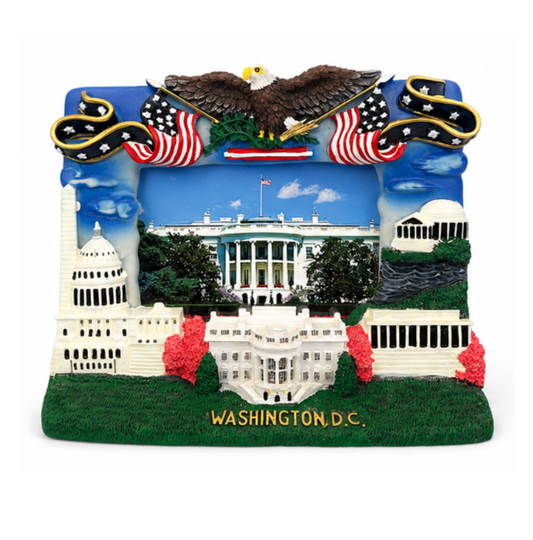 Washington DC Eagle Landmark Picture Frame