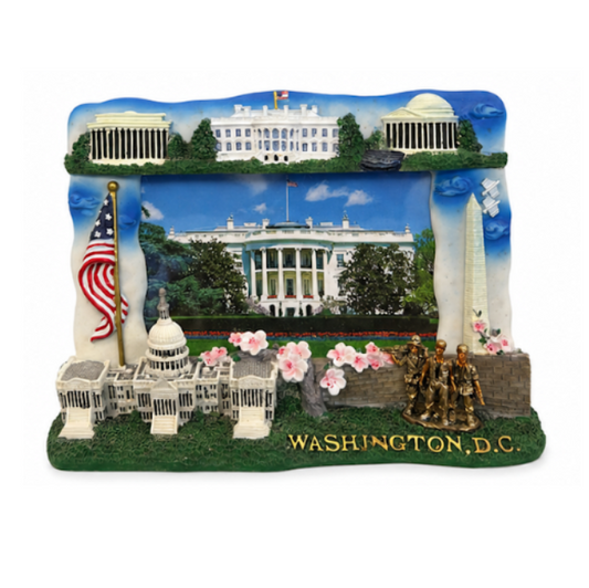 Washington DC Memorials Picture Frame
