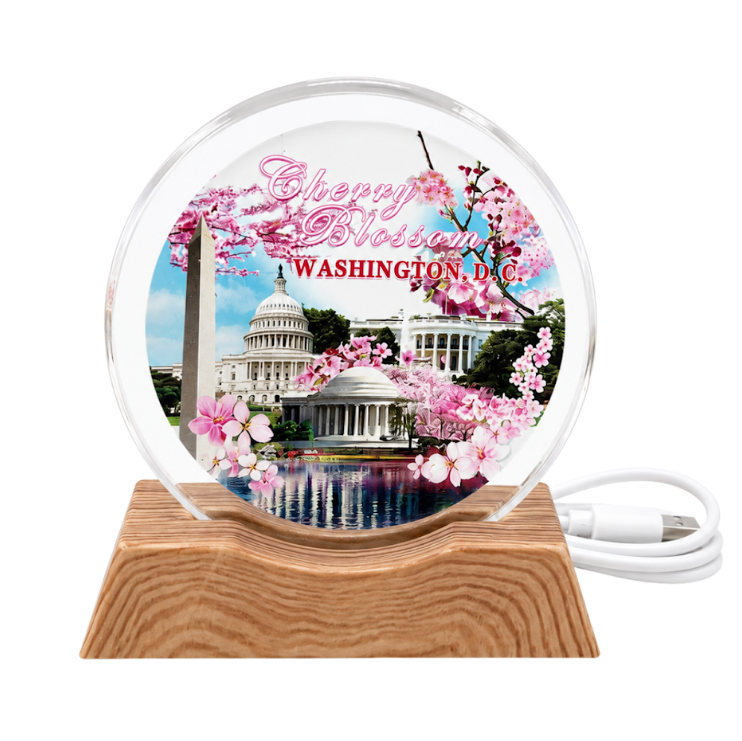 Cherry Blossom Washington DC Lighted Acrylic Display