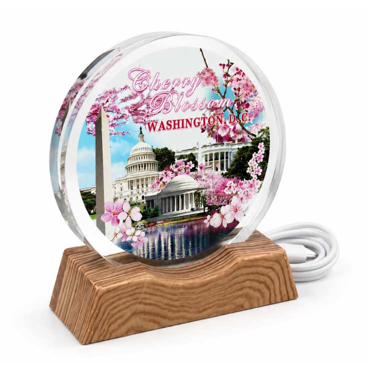 Cherry Blossom Washington DC Lighted Acrylic Display