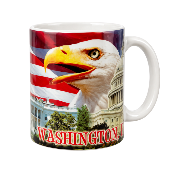 Patriotic Eagle & Washington DC Landmarks Mug
