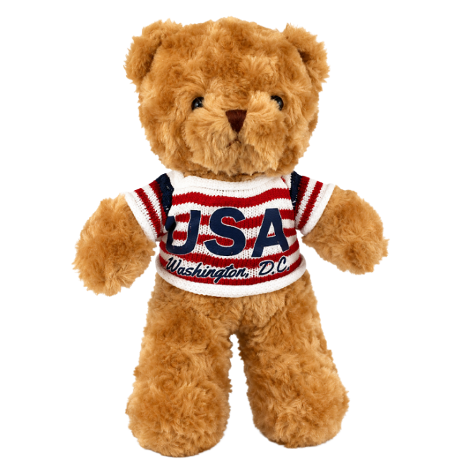 Brown USA Washington DC Sweatshirt Bear