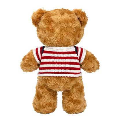 Brown USA Washington DC Sweatshirt Bear