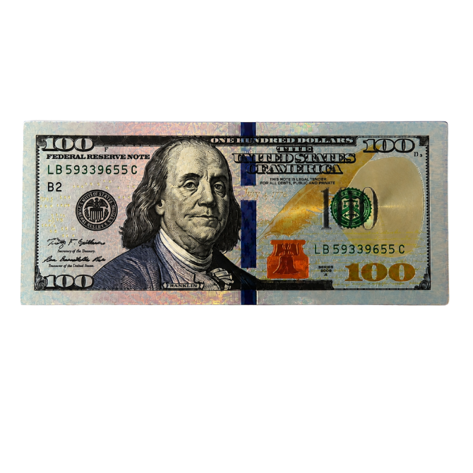 $100 Shiny Metallic Fridge Magnet