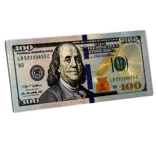 $100 Shiny Metallic Fridge Magnet