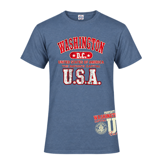 Vintage Washington DC USA T-Shirt
