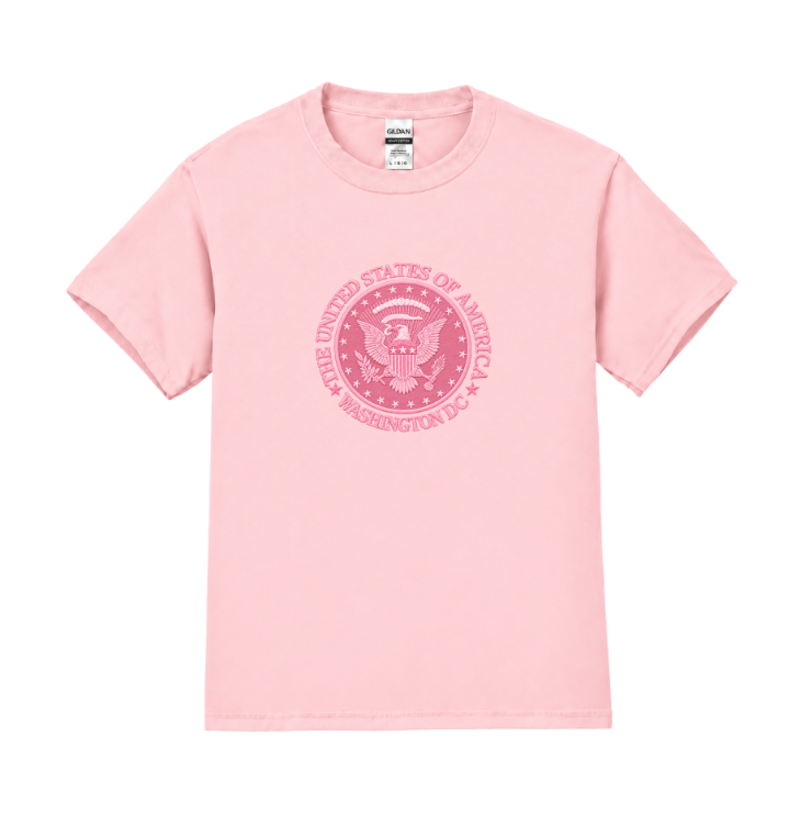 Kids Great Seal Washington DC T-Shirt
