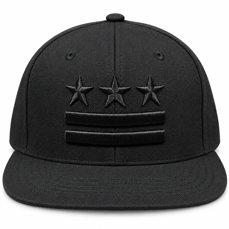 Adult Washington DC Flag Embroidered Flat Brim Cap