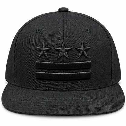 Adult Washington DC Flag Embroidered Flat Brim Cap