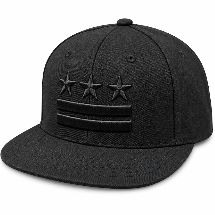 Adult Washington DC Flag Embroidered Flat Brim Cap