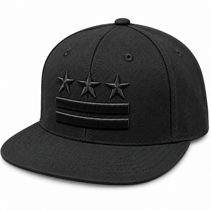 Adult Washington DC Flag Embroidered Flat Brim Cap
