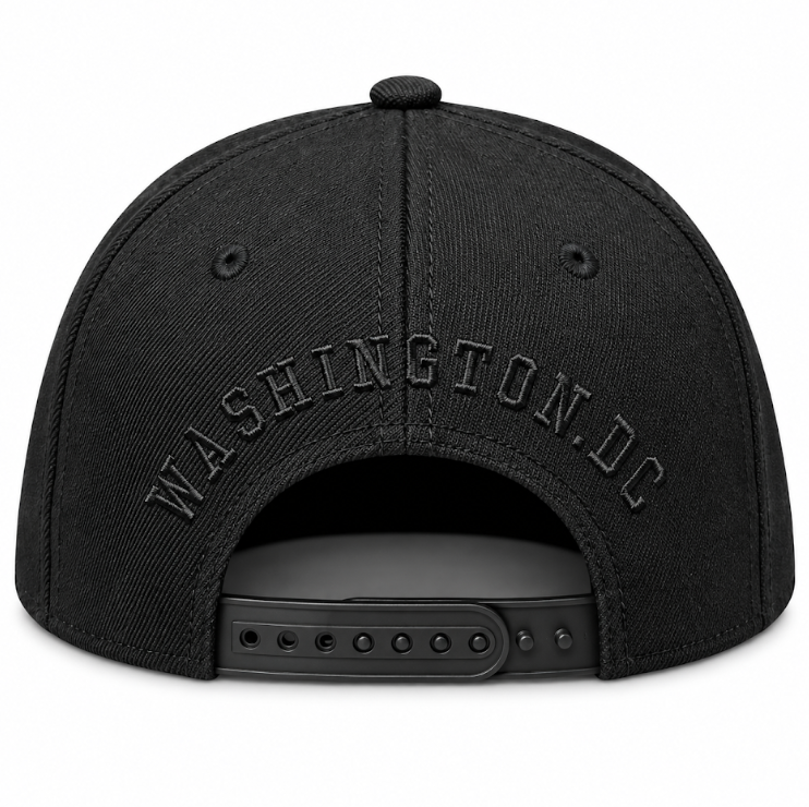 Adult Washington DC Flag Embroidered Flat Brim Cap