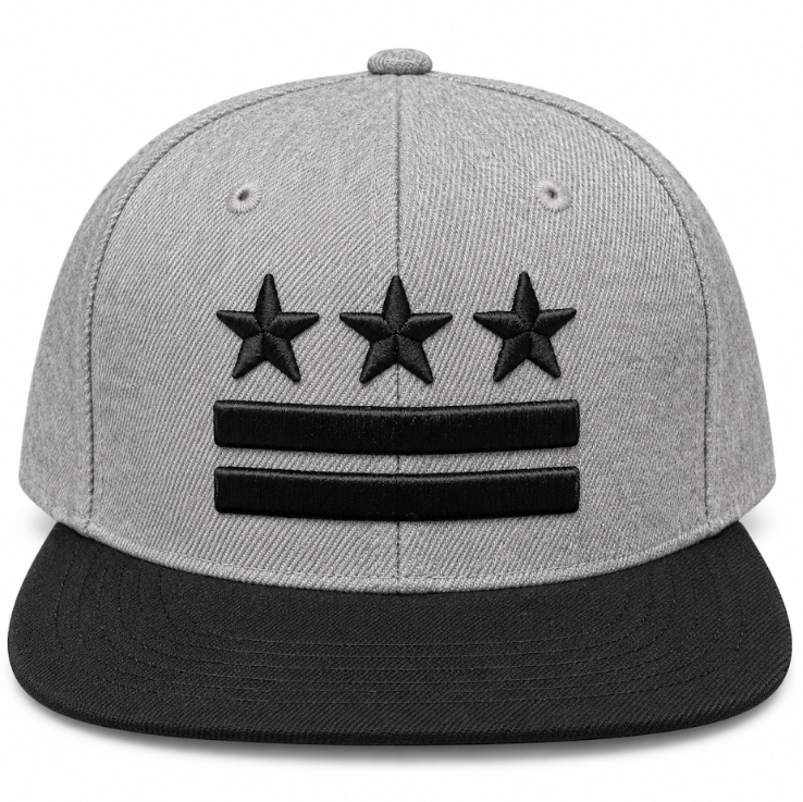 Adult Washington DC Flag Embroidered Flat Brim Cap