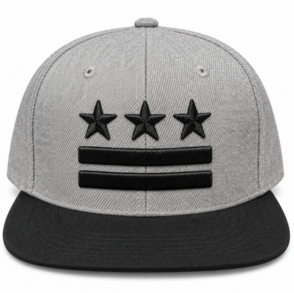 Adult Washington DC Flag Embroidered Flat Brim Cap