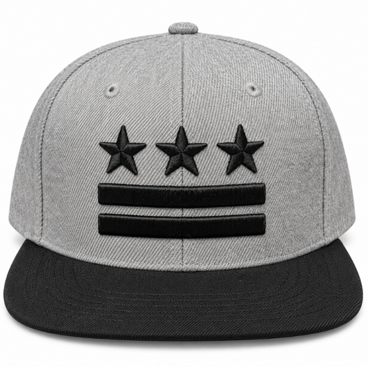 Adult Washington DC Flag Embroidered Flat Brim Cap