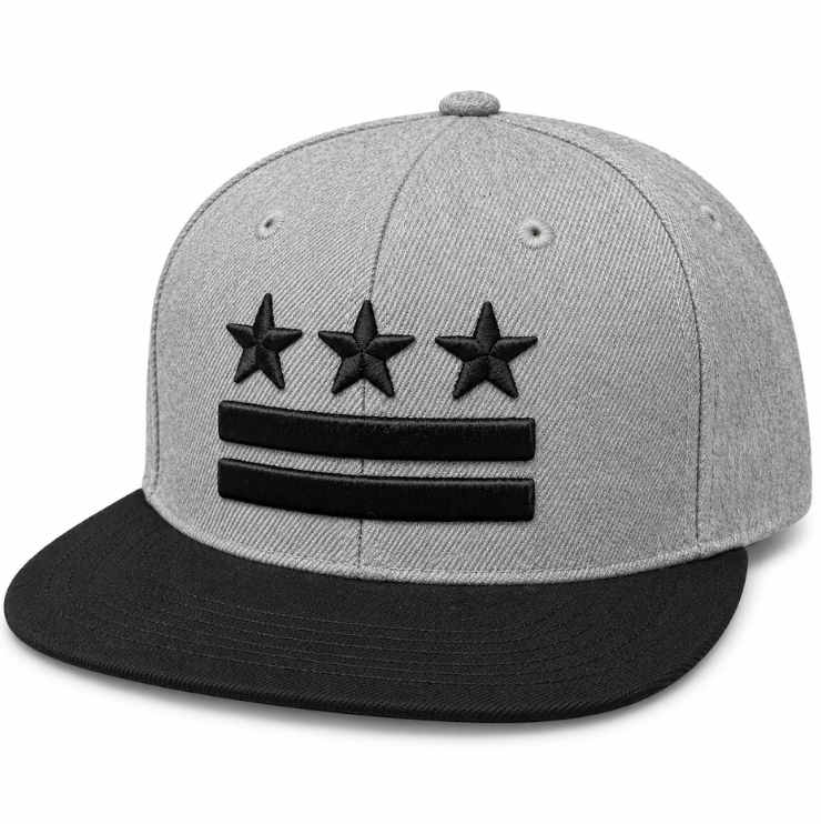 Adult Washington DC Flag Embroidered Flat Brim Cap