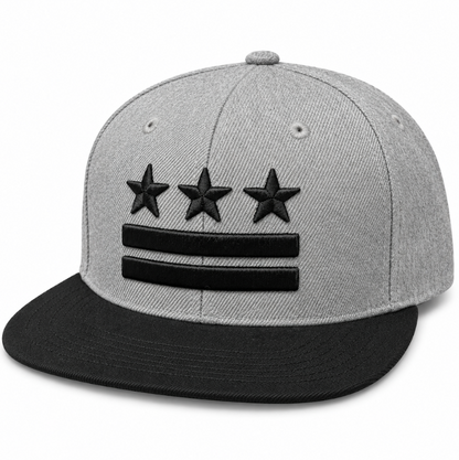 Adult Washington DC Flag Embroidered Flat Brim Cap