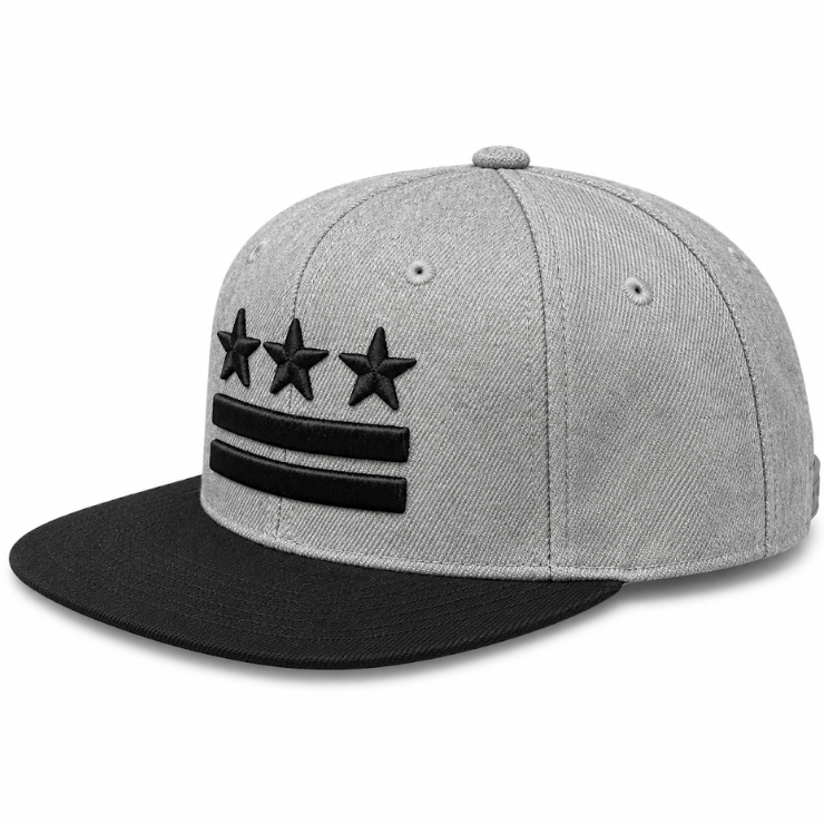 Adult Washington DC Flag Embroidered Flat Brim Cap