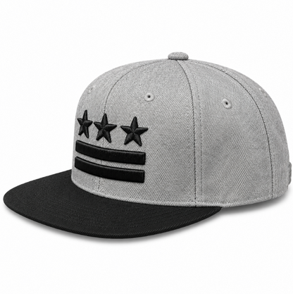 Adult Washington DC Flag Embroidered Flat Brim Cap