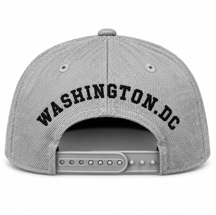 Adult Washington DC Flag Embroidered Flat Brim Cap