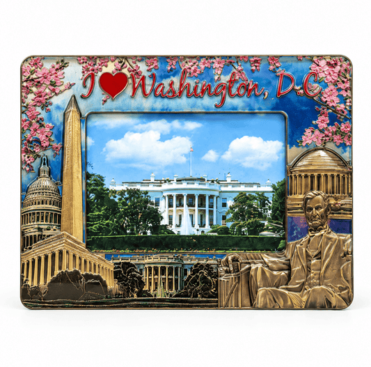 Cherry Blossom Washington DC Shiny Picture Frame
