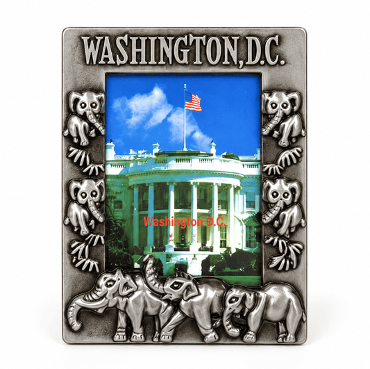 Washington DC Mini Silver Picture Frame