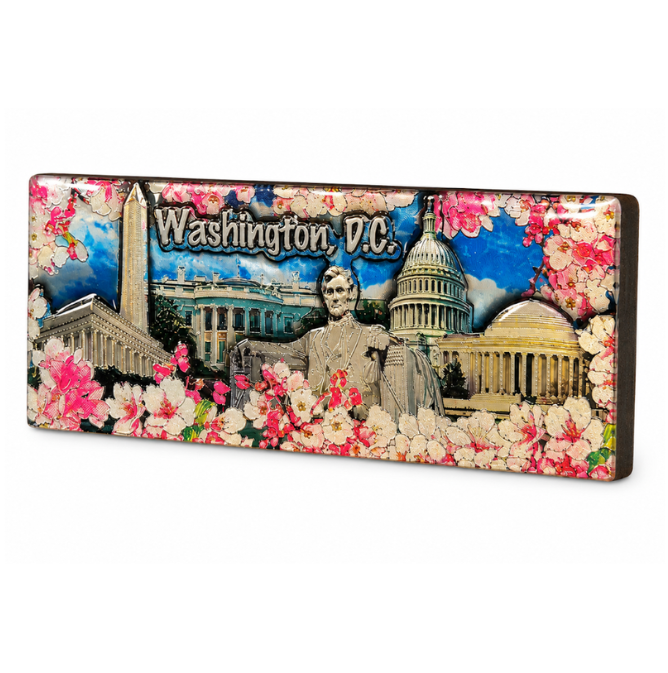 Cherry Blossom DC Panorama Wood Magnet