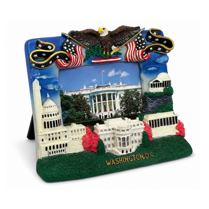 Washington DC Eagle Landmark Picture Frame
