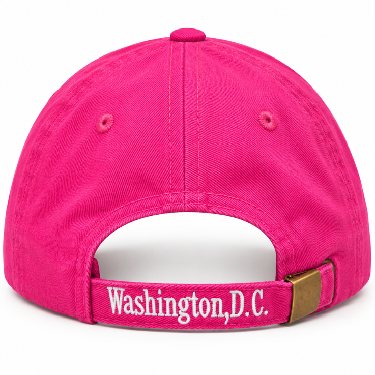 Adult Washington DC 3D Monogram Embroidered Soft Cap